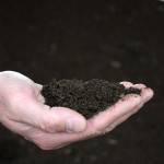 El compost mejora los suelos agrícolas y la calidad de los cultivos