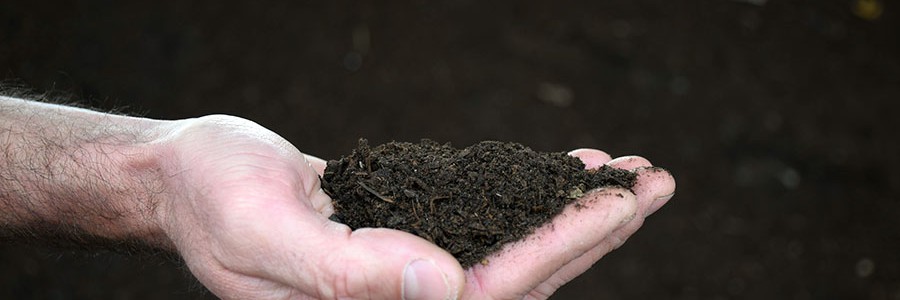 El compost mejora los suelos agrícolas y la calidad de los cultivos