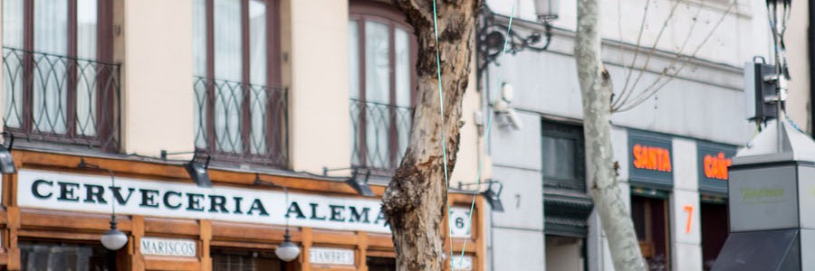 Más de medio millón de escolares reciben educación ambiental sobre reciclaje de vidrio