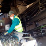 Técnico en gestión de residuos, entre los empleos verdes con más futuro