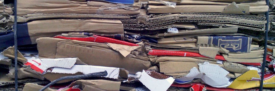 El reciclaje de papel en España confirma su crecimiento con más de 4,5 millones de toneladas recuperadas