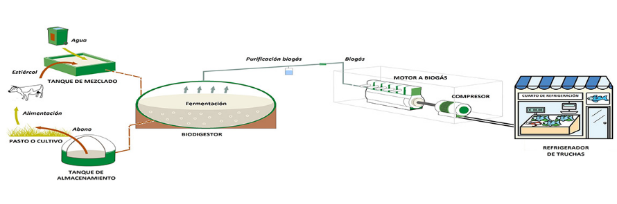 Sistema refrigerante a partir de biogás