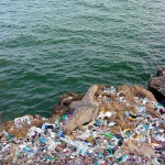 Nuevo acuerdo contra las basuras marinas