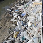 Recogen 300 kg de residuos de envases en hora y media en el río Segura