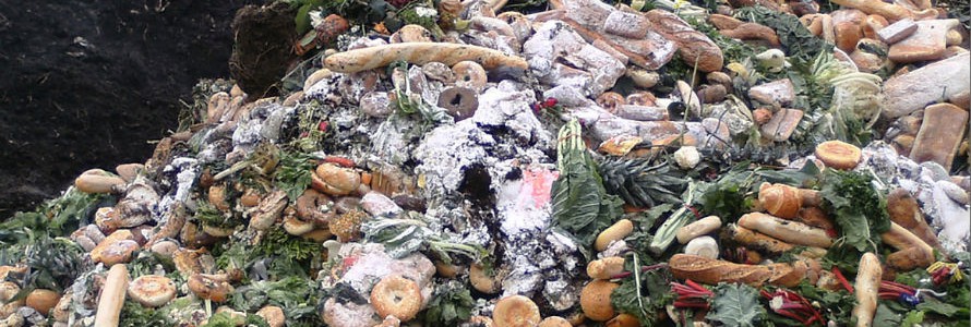 Una de cada tres toneladas de alimentos van a la basura en Colombia