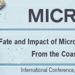 Lanzarote acoge la I Conferencia Internacional sobre el impacto de los microplásticos en el medio marino