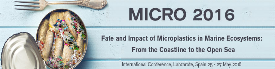 Lanzarote acoge la I Conferencia Internacional sobre el impacto de los microplásticos en el medio marino