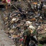 La ONU alerta sobre las muertes prematuras a causa de la degradación ambiental