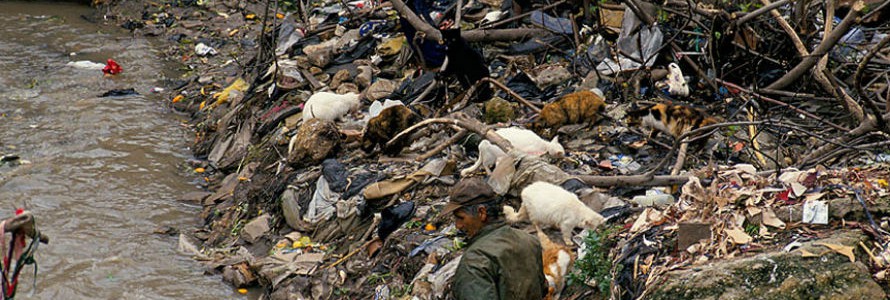 La ONU alerta sobre las muertes prematuras a causa de la degradación ambiental