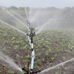 La UE lanza una iniciativa para establecer una legislación en materia de calidad de la reutilización del agua para el riego en agricultura y la recarga de acuíferos