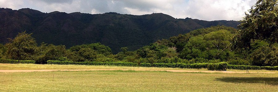 La falta de autorización de uso excepcional de suelo rústico para una planta de tratamiento de residuos industriales no anula la Autorización Ambiental