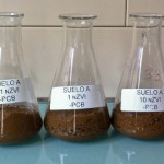 NEIKER-Tecnalia desarrolla una técnica para descontaminar suelos que combina el uso de nanopartículas y biorremediación