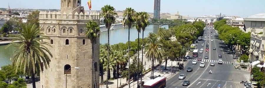 Lipasam invertirá cinco millones para mejorar la limpieza viaria y recogida de residuos de Sevilla