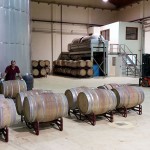 Desarrollan una tecnología para valorizar los residuos del vino en la propia bodega