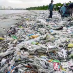 Primera iniciativa mundial contra la contaminación por plásticos