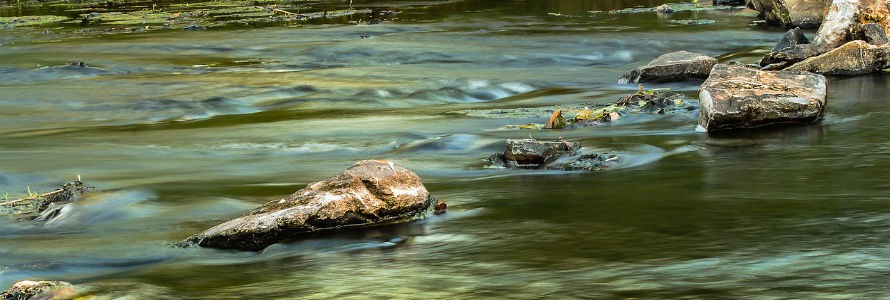 Los residuos de fármacos perjudican gravemente la vida en los ríos