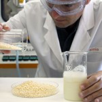 Primer bioplástico obtenido a partir de residuos de la industria quesera