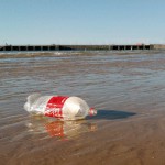 Los residuos plásticos ya forman parte del ecosistema marino del Mediterráneo