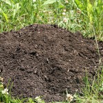 Los límites del compost: ¿calidad o cantidad?