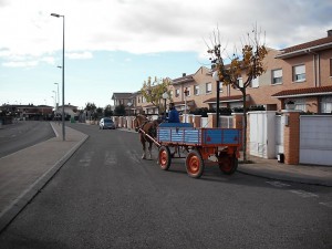 Carro de caballos para recoger los residuos orgánicos de Chimillas (Huesca)