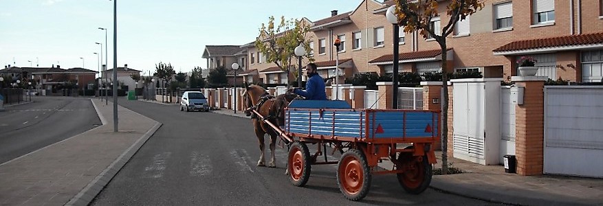 Un pueblo de Huesca prueba la recogida puerta a puerta de materia orgánica con carro de caballos