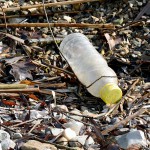 El 18% de la basura abandonada en el mundo son envases