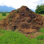 Investigadores argentinos desarrollan un sensor que optimiza la producción de compost