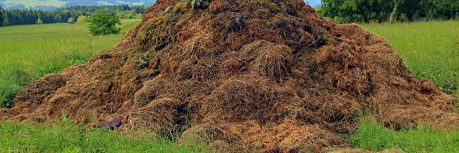 Investigadores argentinos desarrollan un sensor que optimiza la producción de compost