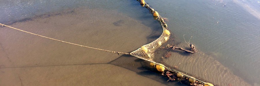 Proyecto LIFE LEMA contra las basuras marinas en el Golfo de Bizkaia