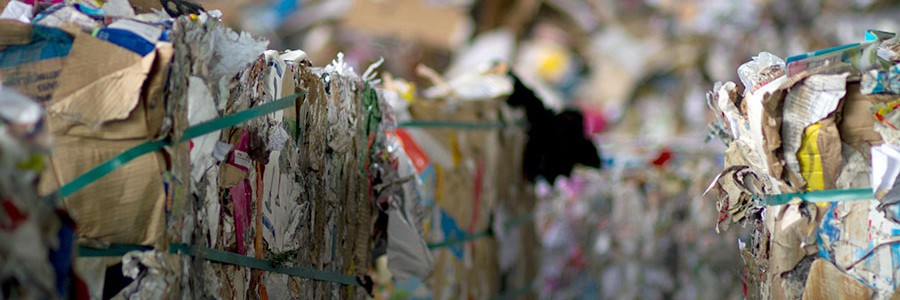 2016 será el tercer mejor año de la historia en recogida de papel para reciclar