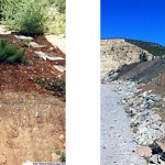 Reaprovechamiento de la Posidonia oceánica para el sellado y restauración de vertederos