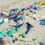 El primer envase de champú hecho con plástico reciclado procedente de las playas