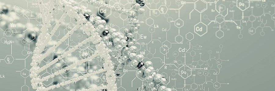 El proyecto Waste2Fuels investiga la producción de biocombustibles a partir de residuos agroalimentarios