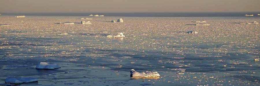 Revelan la existencia de una gran “cinta transportadora” de residuos plásticos hasta el Ártico