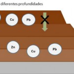 Residuos para disminuir metales en suelos contaminados