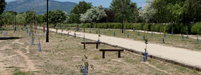 Sigaus inaugura la plantación de su Sexto Bosque en Collado Villalba