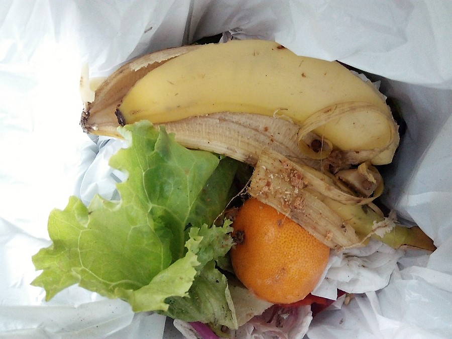 Propuestas contra el derroche alimentario en Cataluña