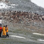 Los contaminantes emergentes también afectan a la Antártida