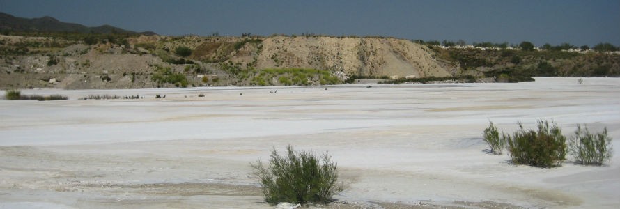 Logran regenerar suelos contaminados con lodos de mármol