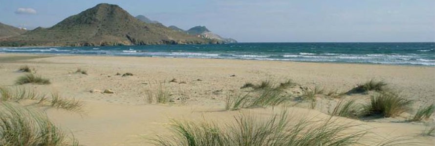 El proyecto Playas Limpias busca concienciar en buenas prácticas medioambientales