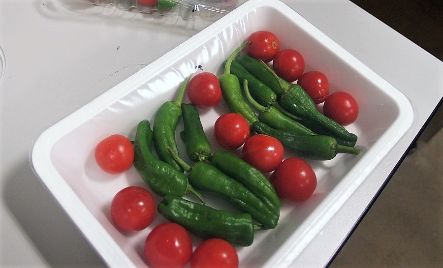 Desarrollan nuevos materiales biodegradables para envases alimentarios