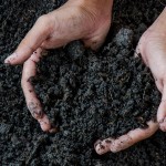 El IRTA y el Consorcio de Residuos del Vallès Oriental colaboran para mejorar la calidad del compost obtenido a partir de residuos