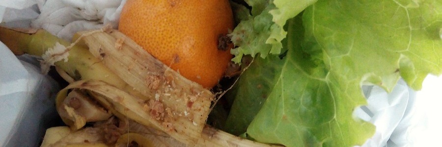 El impacto de los impropios de la fracción orgánica en la calidad del compost