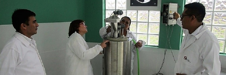 Ainia pone en marcha una planta de biogás a partir de residuos orgánicos en Perú