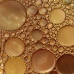 Proyecto ReGrow, recuperación de balsas abandonadas de residuos de aceite