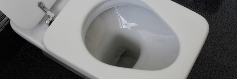 ‘Expo-Retrete’ mostrará los problemas derivados de usar el inodoro como cubo de basura