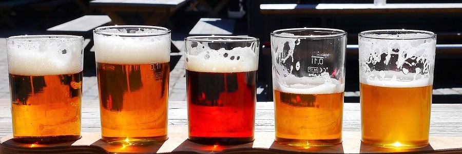 Proponen el uso de residuos de la industria cervecera como aislantes en tejados verdes