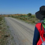 Camino del Reciclaje recicla más de 55.700 kilos de envases domésticos en la Ruta Jacobea por Castilla y León