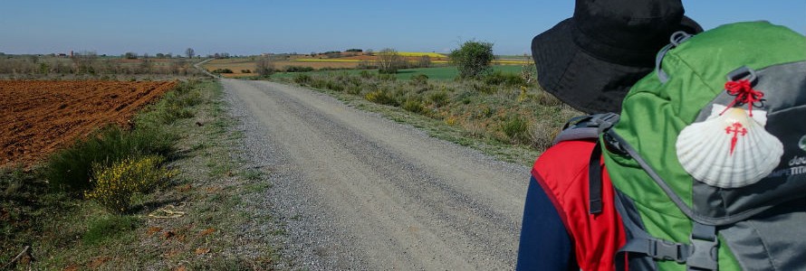 Camino del Reciclaje recicla más de 55.700 kilos de envases domésticos en la Ruta Jacobea por Castilla y León