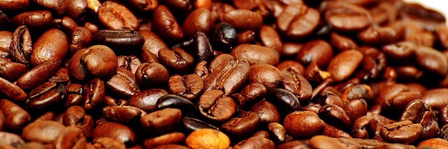 Investigadores mexicanos obtienen biocombustible sólido a partir de residuos de café